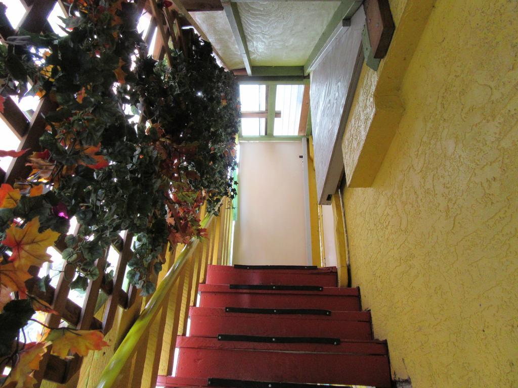 Turtle Hostel Виктория Екстериор снимка